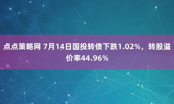 点点策略网 7月14日国投转债下跌1.02%,转股溢价率44.96%