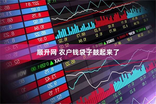 顺升网 农户钱袋子鼓起来了